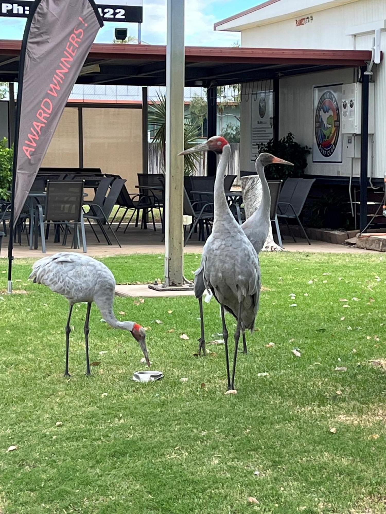Winton Outback Motel מראה חיצוני תמונה